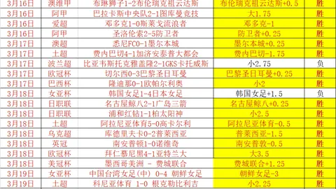西甲西足协瞄准里尔20岁新星帕尔多，比利时国脚或加盟？